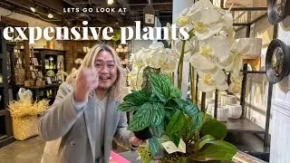 The Bougiest Nursery Is the Best Place for Inspiration