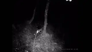 Video 9. Regalando sensaciones.