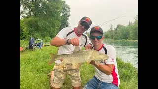 Barbi in canale... Extreme Feeder