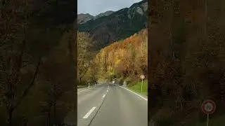 Swiss 