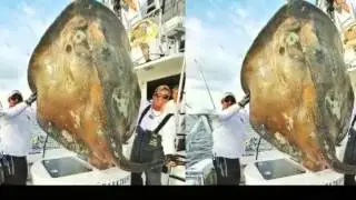 Foto penampakan hewan aneh dan langka MENGGEMPARKAN yang JARANG kita lihat  !!!
