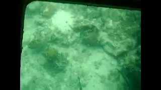 Viewing the Fish - Part 2A
