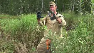 Находки которые не попадают в объектив камеры