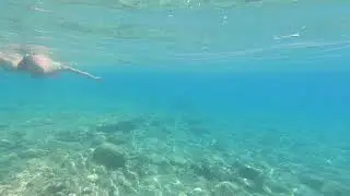 Фаселіс (Турция) амфоры, морской огурец