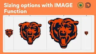 Excel's IMAGE Function: Mastering the 4 Sizing Options for Perfect Visuals
