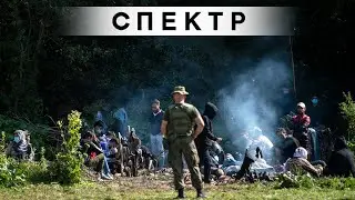Мигранты прорывают границу Беларуси и Польши