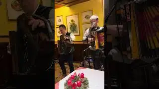 „Mooskirchner Polka“ gespielt von Christian & Dominik (Harmonikaschule Wagner)