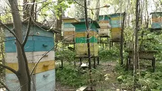 Как отстраиваются строительные рамки в третьих магазинах