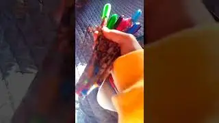 заполняем пенал