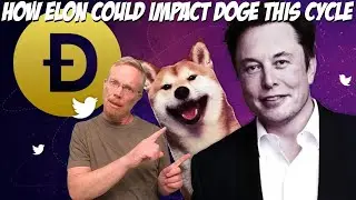 How Elon Musk Could Impact Dogecoin This Cycle