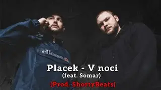 Placek - V noci (feat. Somar, prod. ShortyBeats)