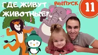 Где живут животные? Выпуск 11. Познавательное видео для детей.