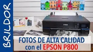 EPSON P800: Prints professional-quality photographs