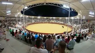 Recortadores en Villaseca de la Sagra, comienzo, vista panorámica. 02-06-2022