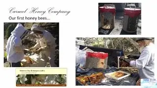 2015 Bee Symposium: Getting into Beekeeping: Thoughts from a 12 year old Beekeeper
