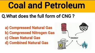 Class 8 Science Chapter 3 Coal and Petroleum Class 8 Science Chapter 3|MCQ