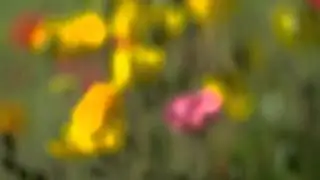 Первое видео подруги)