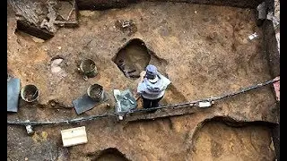 В Подмосковье нашли череп мамонта с кладом внутри