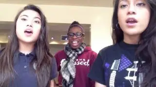 Titanium Pitch Perfect Cover