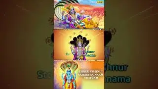 Shree Vishnu Sahastra Naam Stotram | Prem Prakash Dubey | YouTube Shorts