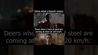 Memes from the internet V. 182 