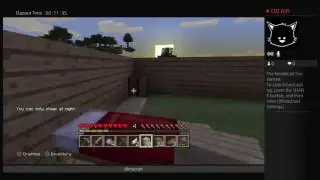 Minecraft gameplay 2