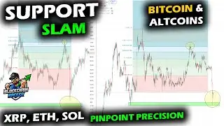 Crypto Market Slams Support with Precision as $1.6 Billion Liquidation Hits Bitcoin & Altcoin Market