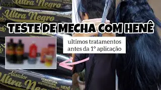 Tratamentos que fiz antes do henê + MEU TESTE DE MECHA com o Ultra Negro Divina Dama 🌸✨️