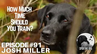 Podcast Short Ep 91: Josh Miller- The Line Between Encouraging Growth & Asking Too Much Of A Dog