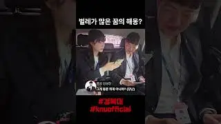 벌레가 나오는 꿈의 해몽? KNU 웹진 취재 브이로그 [영상팀 3인칭 관찰자 시점]