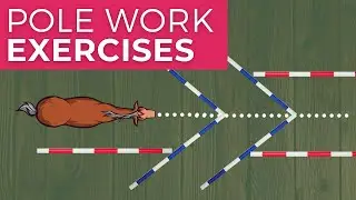 Polework exercises for horses