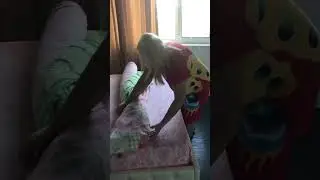 Пододеяльник как надеть быстро😂