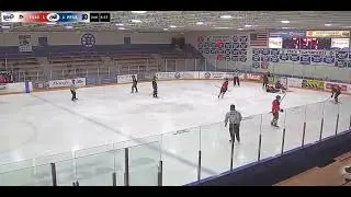 Thomas Wolf - NAHL MN  - Apple Lamp
