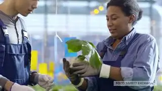 Welcome to Food Safety Exchange!