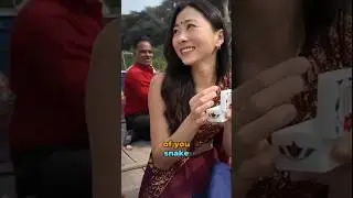 Taj Mahal River Encounter 🇮🇳