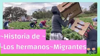 ESTO NOS PASÓ A MUCHOS POR QUERER SALIR ADELANTE