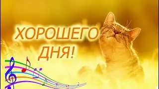 #27 Хорошего дня! Песня  кота Леопольда 