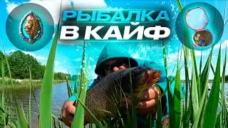 Шикарный клёв на озере.Рыбалка на донки. Сamping ,fishing,bushcraft,