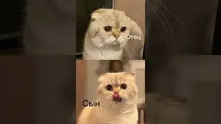 Лелик и старший Лелик ))