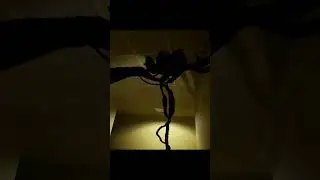 МАМА ПИ@ДА ТУТ СТРАШНО!!!!| ПОЛНОЕ ВИДЕО УЖЕ НА КАНАЛЕ !!