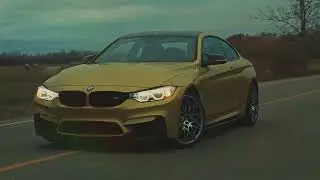 Дикая львица - Wild lioness /BMW Showtime/Tiktok Version(Mortal Release)
