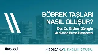 Böbrek Taşları Nasıl Oluşur? - Op. Dr. Erdem Zengin