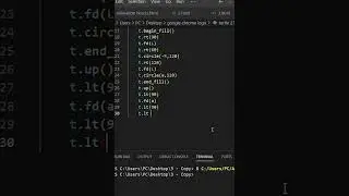 Google chrome drawing by python turtle 