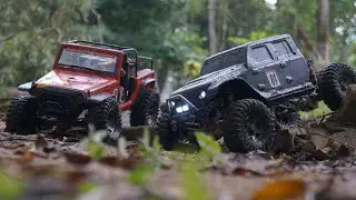 RC Adventure in Borneo Jungle