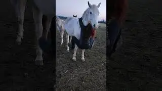 Zobaczycie, jeszcze kiedyś przejdę na drugą stronę!
