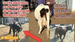Sotilganlaridan Real narxlar Sirdaryo Kònchi Molbozori 2-Sebtyabr