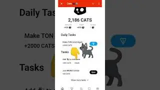 How to withdraw cats airdrop tokens in exchange//#cats #bybit #kucoin #bitget #gate #minning