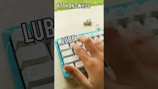 ASMR Ktt Kang White