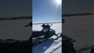 ❄️🎣🐟