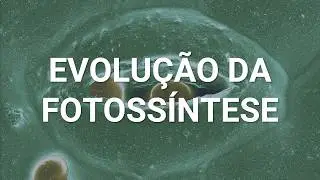 Evolução da Fotossíntese